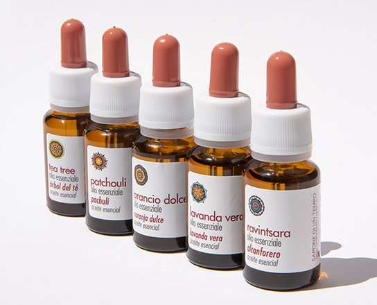 Trabucco Accurate Olivette ( Torpille ) Size Gr 1 - Foto 8