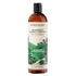 Shampoo Capelli Secchi - Shampoo